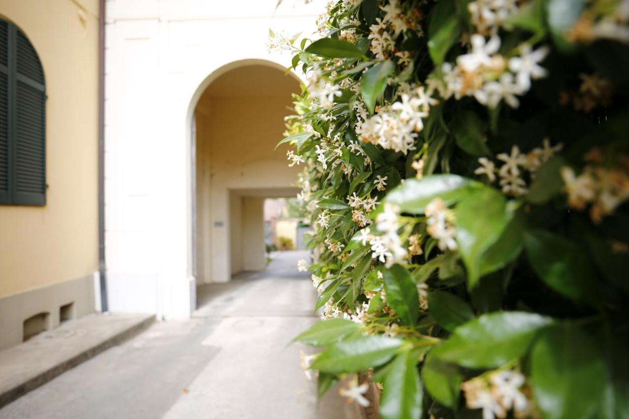 Lungarno Buozzi 7 Apartamento